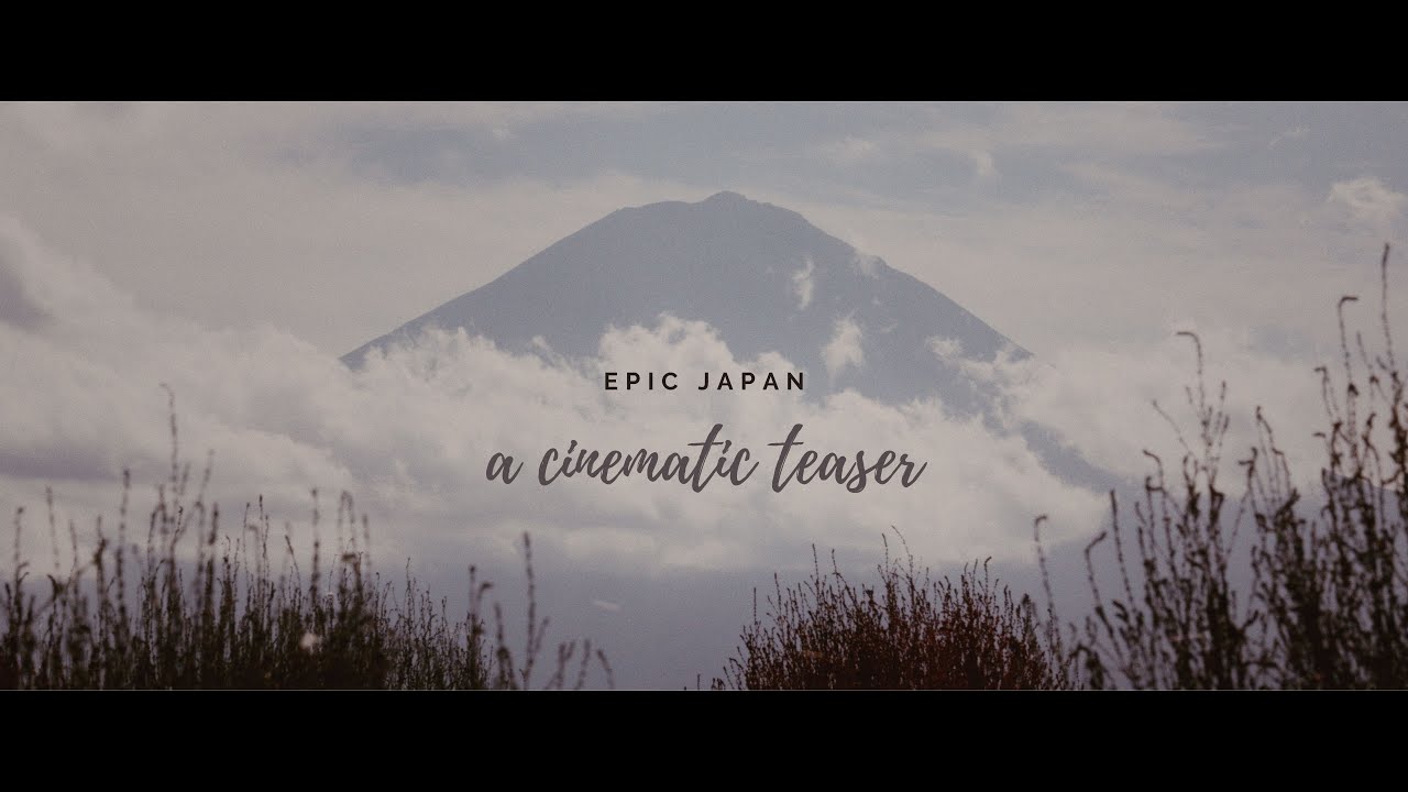 Jurnale cinematografice 5