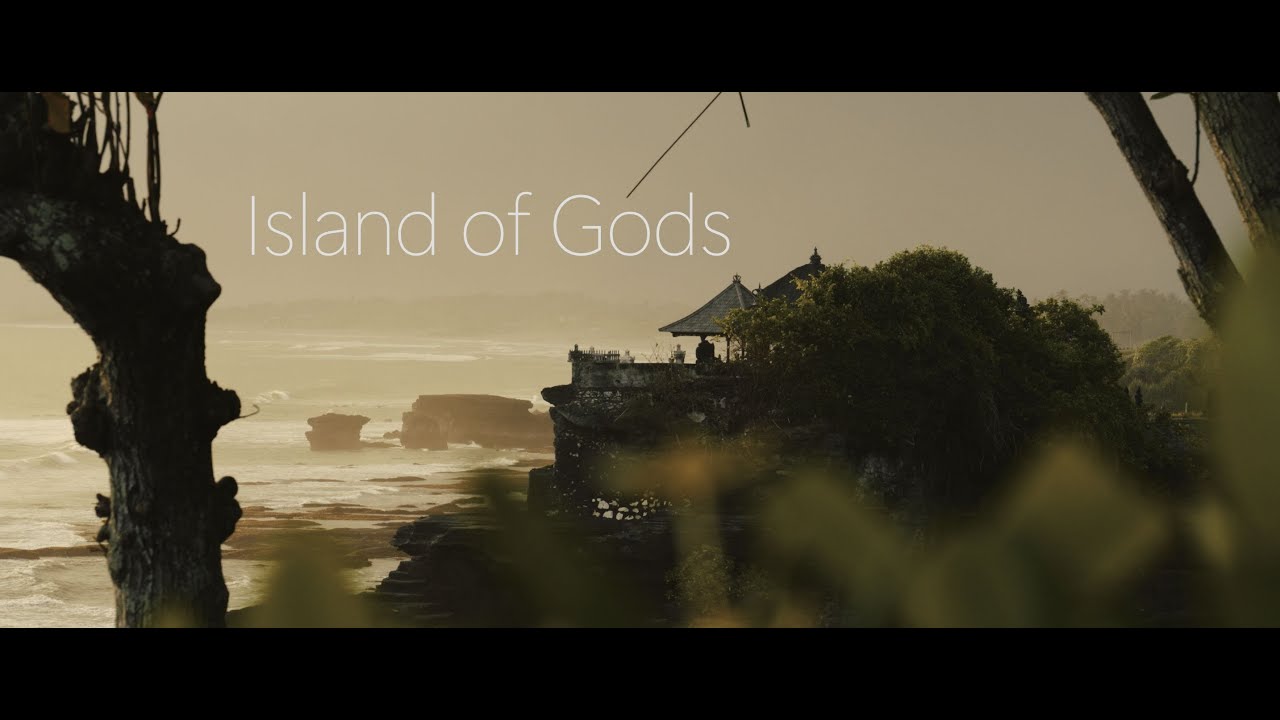 Jurnale cinematografice 7