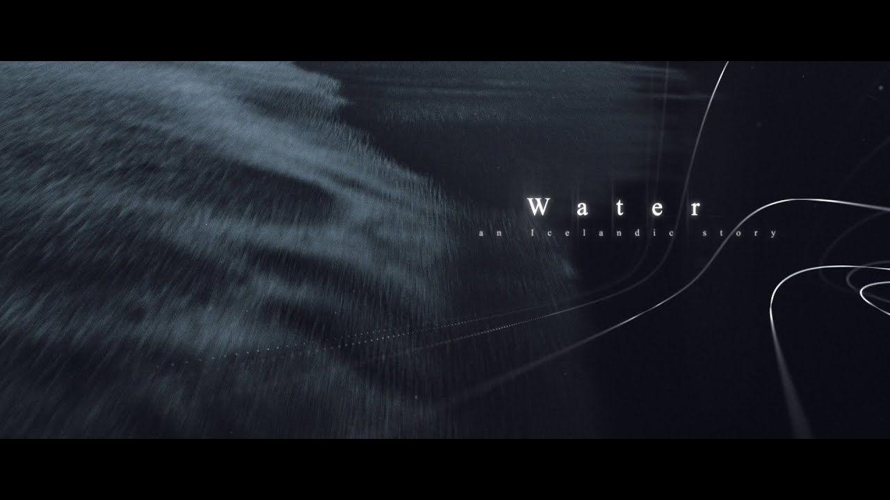 Jurnale cinematografice 13